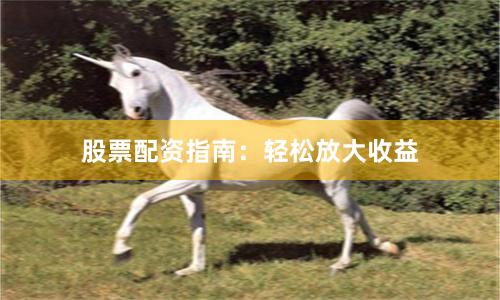 股票配资指南：轻松放大收益