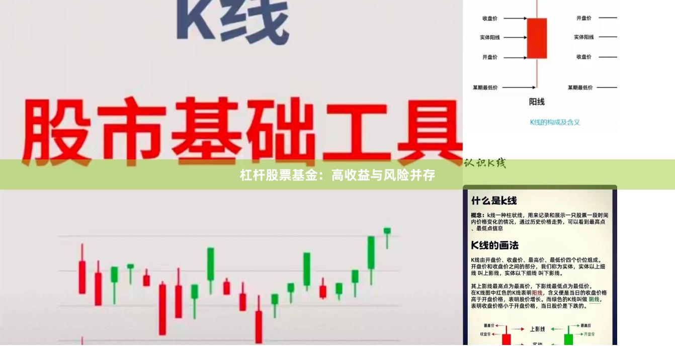 杠杆股票基金：高收益与风险并存
