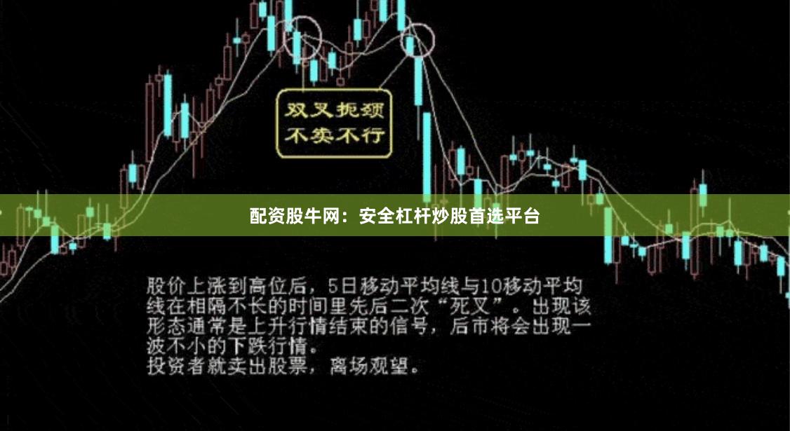 配资股牛网：安全杠杆炒股首选平台