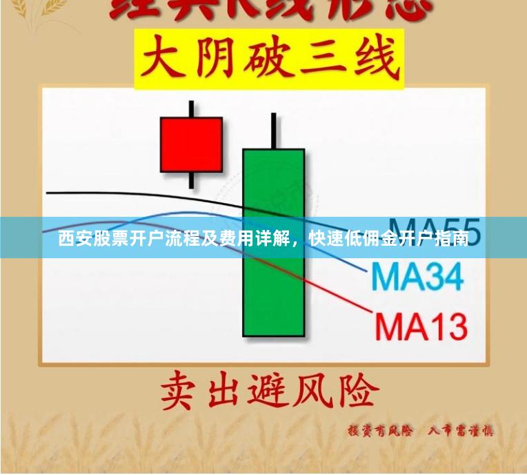 西安股票开户流程及费用详解，快速低佣金开户指南